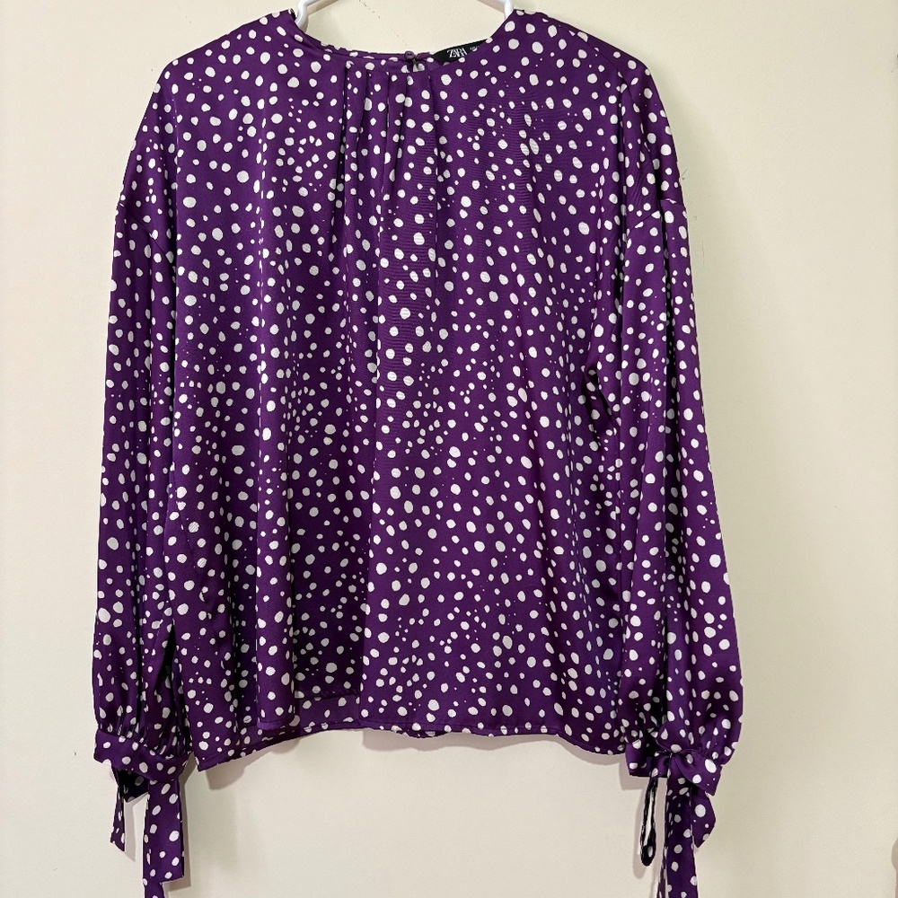 Zara Polka Dot Blouse